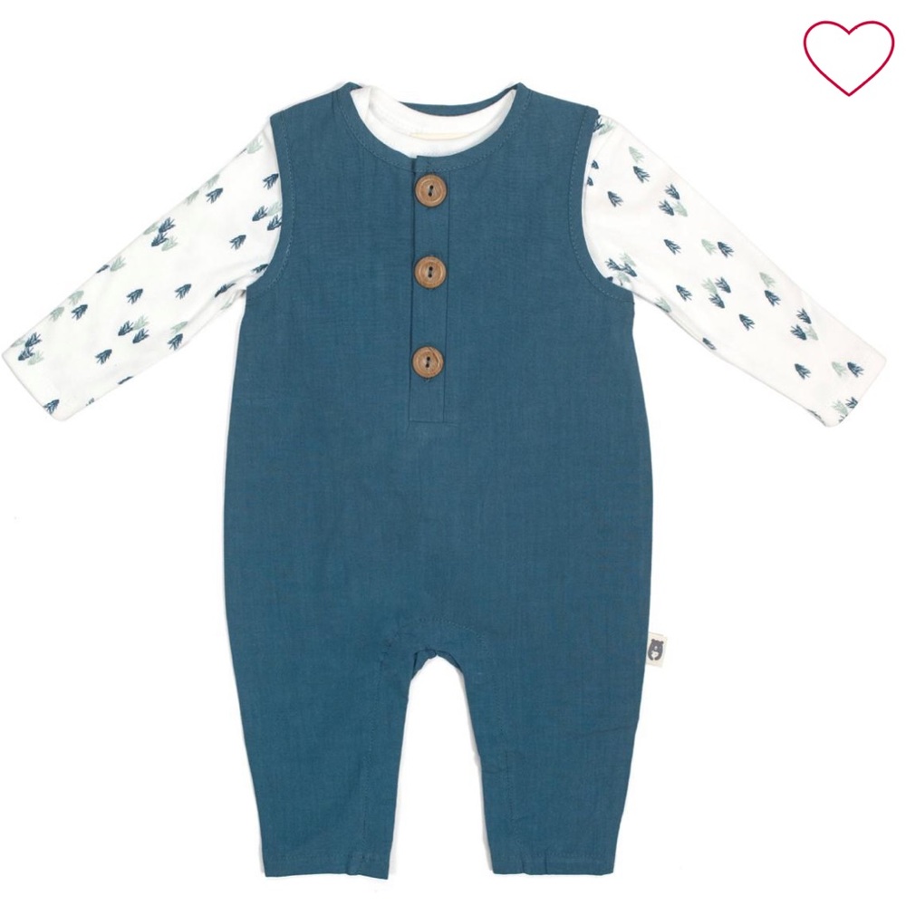 Rabbit + Bear Organic Cotton Bodysuit and Coveralls 2 Piece Set - 6-9 MOS - NWT